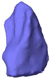 wpe1.jpg (4539 bytes)